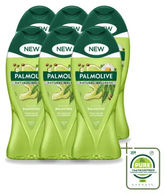 Produktbild von 6 x Palmolive Natural Wellness Douchegel Balancing - 250 ml - Großpackung - 6 Stücke