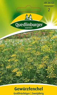 Produktbild von Quedlinburger Saatgut - Fenchel Grossfrüchtiger - Samen - 493412