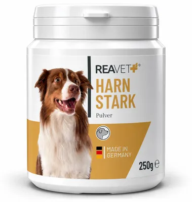 Produktbild von REAVET Harnstark Pulver für Hunde 250g – Kürbiskernmehl zur Unterstützung der normalen Blasenfunktion & Prostata