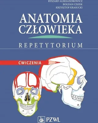 Produktbild von Anatomia czlowieka Repetytorium Cwiczenia