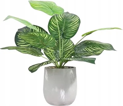 Obrázek produktu pro UMĚLÁ ROSTLINA V REALISTICKÉM JEZÍRKU 37cm CALATEA pro DOMÁCÍ KANCELÁŘ