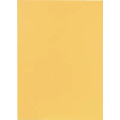 Produktbild von Falken 80001233, Champagner, Karton, A4, Porträt, Deutschland