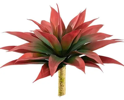 Immagine prodotto di Agave succulenta artificiale - Ramo di pianta artificiale - 29 foglie - 1 ramo - Per esterni, decorazione da giardino - Rosso