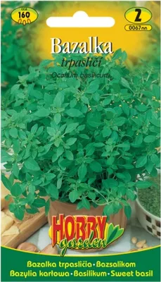 Obrázek produktu pro Bazalka trpasličí