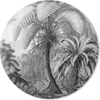 Produktbild von MuchoWow® Mauspad Mousepad Pflanzen - Schwarz und weiß - Design - Illustration - Botanisch 20x20 cm - Mousepads - Maus Mat - Pad - Mausunterlage - Schreibtischmatte