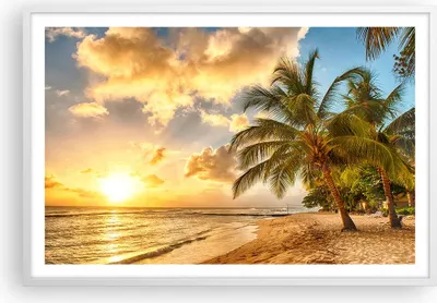 Produktbild von Gerahmtes Poster - Weißer Rahmen - Strand Meer Palme - 91,5x61 cm - Wand Bild - Wanddeko - Wandbilder - Kunstposter - Wandposter - Bilderrahmen - Bilder - Kunstdruck - Wandbild - P2WAA91x61-3606