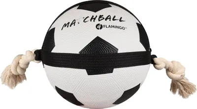 Produktbild von Flamingo Hundespielzeug Matchball Fußball, Maße: 22 cm