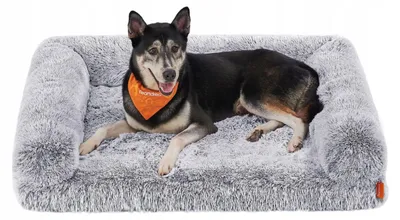 Produktbild von Feandrea Ortopädisches Hundebett XL mit abnehmbarem Bezug