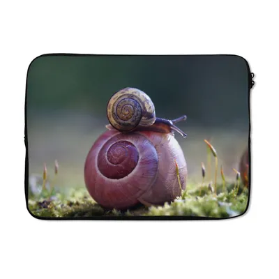 Produktbild von MuchoWow® Laptop Hülle 14 ZollSchnecken - Gras - Frühling Laptoptasche - Laptoptasche - Stoßsicher - Schutzhaube