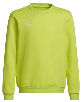 Immagine prodotto di Adidas - Felpa per bambini PP1097 (146-152) (verde)