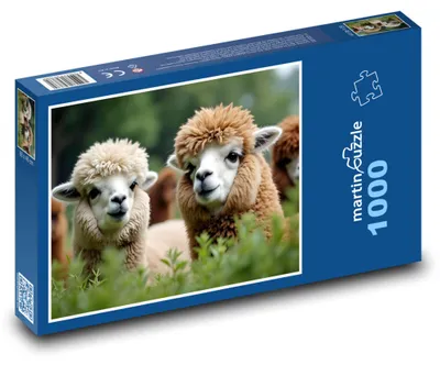 Zdjęcie produktu dla martinpuzzle - Puzzle 1000 elementów - Alpakki