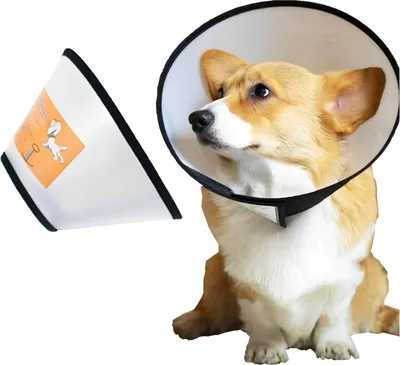 Produktbild von Hundekegel Halsband Verstellbar Anti-Bite Schutzkragen Großer Hund 22-30cm