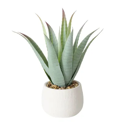 Produktbild von Künstliche Aloe-Pflanze im Blumentopf MONDRAGO, 29 cm