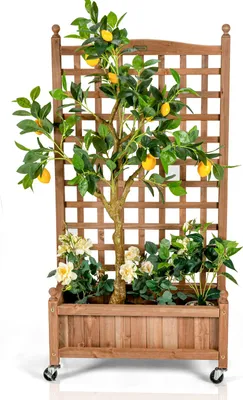 Immagine prodotto di COSTWAY Fioriera con traliccio, fioriera in legno su rotelle, letto rialzato con traliccio e fori di drenaggio, traliccio per giardino, 64x28x127 cm Marrone