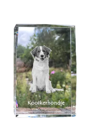 Produktbild von Kooikerhondje Kristall mit Hund Art-Dog