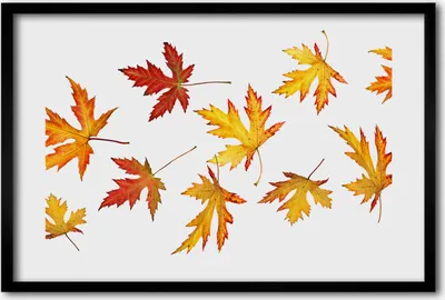 Produktbild von Bild 60x40 MDF-Rahmen, Wandkunst Herbstblätter