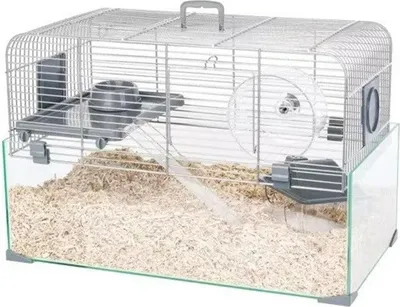 A hamster cage with a glass base and wire top, filled with wood shavings.