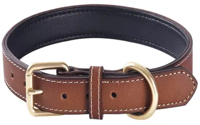 Image de Collier en cuir rembourré pour chiens, couleur marron, longueur 27-35 cm