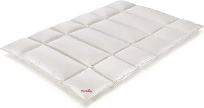 Produktbild von Paradies Daunendecke 135x200 cm Winter Decke "Elea 90" RDS Entendaunen 100% Baumwolle