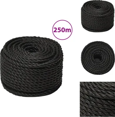Obrázek produktu pro vidaXL Pracovní lano černé 10 mm 250 m polypropylen - Lana