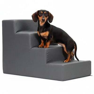 Produktbild von SPRINGOS Treppe für Hunde Katzen 4 Stufen - dunkelgrau