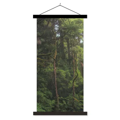 Produktbild von MuchoWow® Textilposter Dschungel in Australien 60x120 cm mit schwarzem Rahmen - Magnete