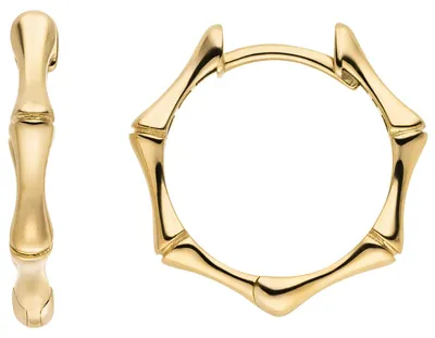 Creolen-aus-333-Gelbgold-16-9x2-4mm-glänzend