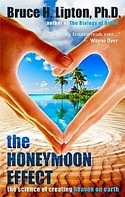 Image de The Honeymoon Effect