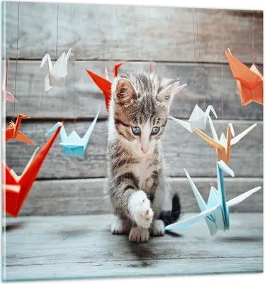 Produktbild von Bilder auf glas - Katze spaß origami - 50x50cm - Glasbilder - Wandbilder - Kunstdruck - zum Aufhängen bereit - Wanddekoration aus Glas - Glas Bilder - Wandbild auf Glas - Einteilig - GAC50x50-2818