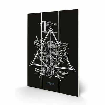 Obrázok produktu pre Pyramid International MW12848P, 1 ks, Čarodejnícky svet, obdĺžnik, drevo