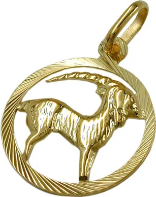 Produktbild von Anhänger Kettenanhänger Sternzeichen Steinbock aus 375 Gold Gelbgold Uni