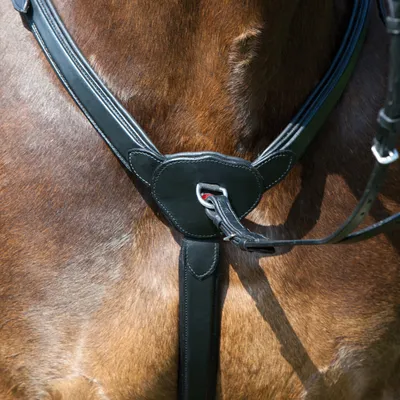 Produktbild von Kieffer Vorderzeug PROFI, Farbe:schwarz, Größe:Warmblut-schwarz genäht / mit Chromschnallen