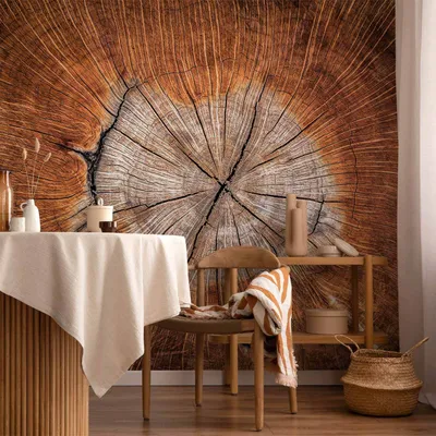 Produktbild von Vlies Fototapete - The Soul of a Tree 400x280 cm Muster b-B-0062-a-a