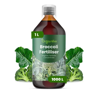 Obrázok produktu pre Tekuté hnojivo pre brokolice, 1 liter – vzorec NPK 2-1-8 – vhodné pre zeleninu – pre silné hlávky a zdravé listy – podporuje rast koreňov a vitalitu – organické