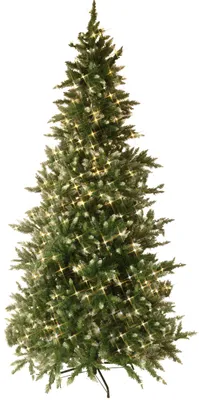 Produktbild von Best Season LED-Weihnachtsbaum "Vancouver" beleuchtet ca. 225cm, 550 warm white LED, grün, mit Trafo, 608-60