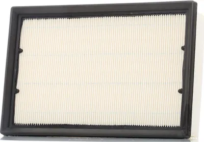 Obrázok produktu pre Vzduchový filter CHAMPION (CAF100867P) pre LAND ROVER Freelander 2