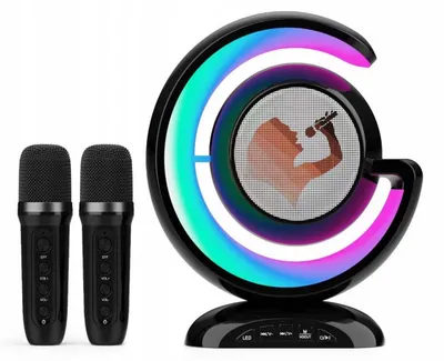 Image de Haut-Parleur Karaoké Bluetooth Sans Fil Puissant + 2 Microphones Offerts