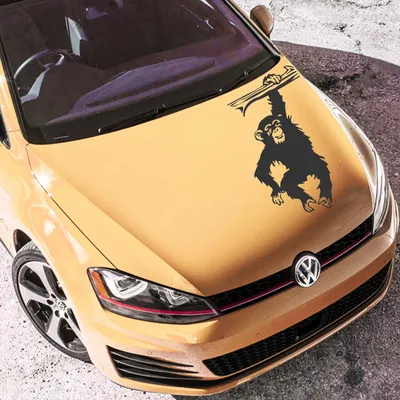Produktbild von Aufkleber - Autoaufkleber "Schimpanse" 90cm x 55cm schwarz - Tuning Carystyling Heckscheibe Auto