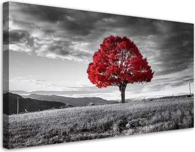 Produktbild von Leinwandbild Roter Baum in einer Wiesenlandschaft 120x60 Feeby Grau bild für die wand bereit zum aufhängen