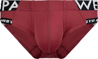 Obrázek produktu pro SUPAWEAR SPR Max Brief Redbud - Größe L