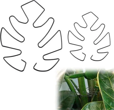 Produktbild von Pflanzenständer für Kletterpflanzen, schwarze Stengelhalter, 2er-Set