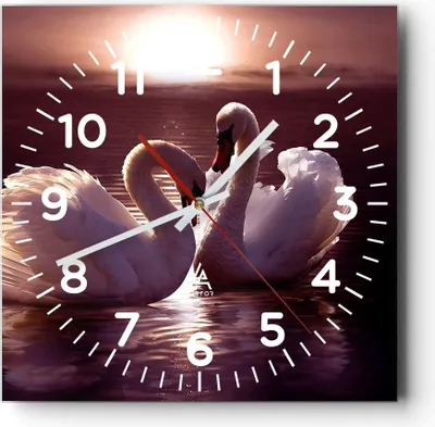 Produktbild von Wanduhr - Quadrat - Glasuhr - Schwäne Landschaft Wasser - 30x30cm - Schleichendes Uhrwerk - Lautlos - zum Aufhängen bereit - Dekoration Modern - Wanddekoration aus Glas - C4AC30x30-0223