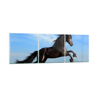 Produktbild von Bilder auf glas - Schwarzes Pferd Pferd Galopp - 120x40cm - Glasbilder - Wandbilder - Kunstdruck - zum Aufhängen bereit - Wanddekoration aus Glas - Glas Bilder - Wandbild auf Glas - GCA120x40-0495