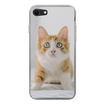Produktbild von MuchoWow® Handyhülle Schutzhülle Hülle für iPhone SE 2020 Kätzchen - Blau - Orange - Mädchen - Jungen - Kind Silikon Softcase Handy Hülle - Kartenbesitzer