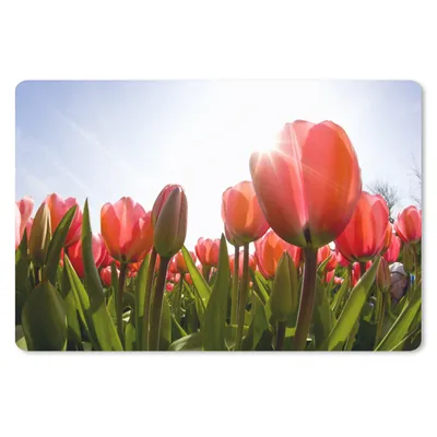 Produktbild von MuchoWow® Mauspad Mousepad Blumen - Tulpen - Sonne 27x18 cm - Mousepads - Maus Mat - Pad - Mausunterlage - Büroartikel - Desk Matten