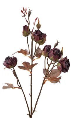 Produktbild von Clayre & Eef Kunstblume 73 cm Rot Kunststoff