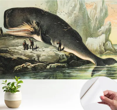 Produktbild von Fototapete selbstklebend - 104x70 cm - Tapete - Wandtapete - Wandbilder - Klebefolie - Dekofolie - Tapete Folie - Wand - Dekoration - Wohnzimmer - Meeresgigantismus