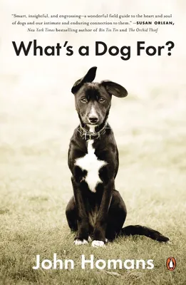 Produktbild von What's a Dog For?