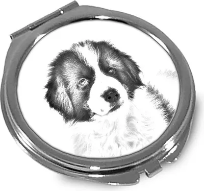 Produktbild von Tornjak Spiegel mit Hundeabbildung Art-Dog