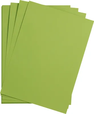 Produktbild von Clairefontaine Maya Tonpapier 50x70cm 120g 250 Bogen - Moosgrün 397152C